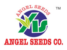 Angel Seeds Company